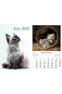 Kalendarz 2026 ścienny Koty