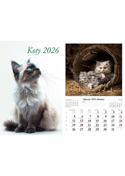 Kalendarz 2026 ścienny Koty