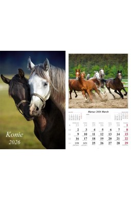 Kalendarz 2026 ścienny Konie