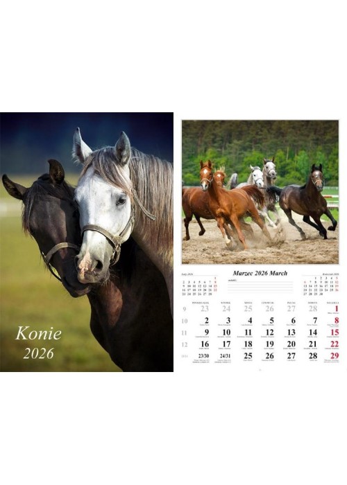 Kalendarz 2026 ścienny Konie