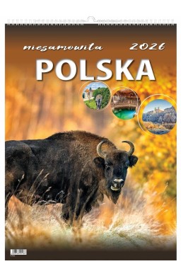 Kalendarz 2026 wieloplanszowy niesamowita Polska