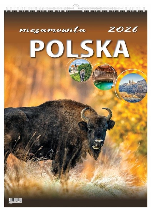 Kalendarz 2026 wieloplanszowy niesamowita Polska