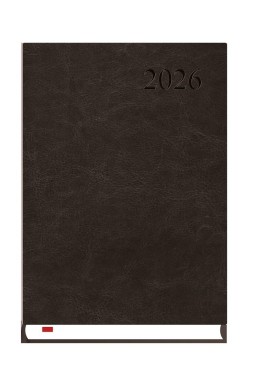 Terminarz 2026 A5 Asystent Alaska czarny