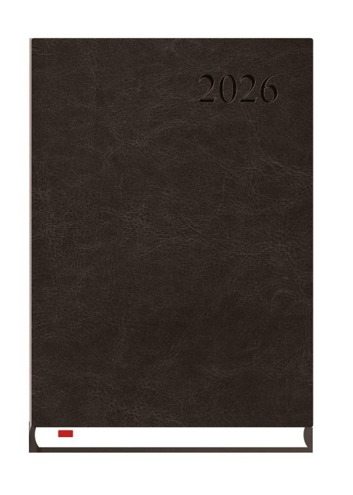 Terminarz 2026 A5 Asystent Alaska czarny Terminarz 2026 A5 Asystent Alaska czarny