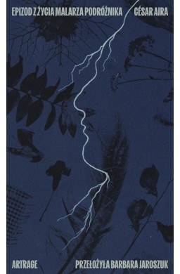 Epizod z życia malarza podróźnika