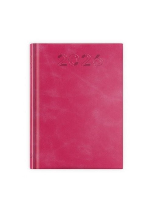 Terminarz 2026 B6 print malinowy