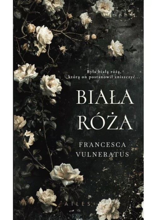 Biała róża