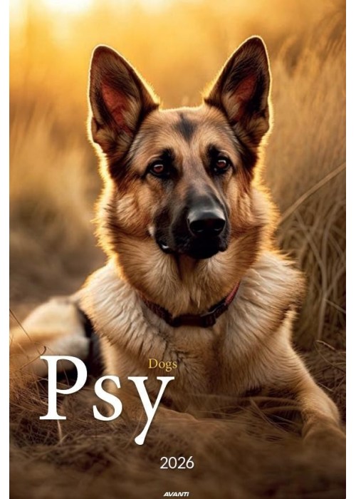 Kalendarz 2026 ścienny A3 Psy