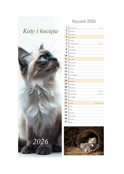 Kalendarz 2026 ścienny pasek Koty i kocięta
