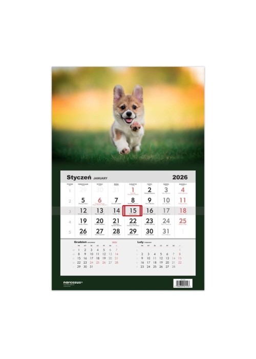 Kalendarz 2026 jednodzielny Pies Corgi HELMA
