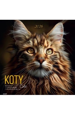 Kalendarz 2026 ścienny albumowy 30x30cm Koty