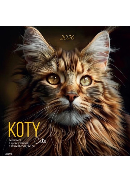 Kalendarz 2026 ścienny albumowy 30x30cm Koty Kalendarz 2026 ścienny albumowy 30x30cm Koty