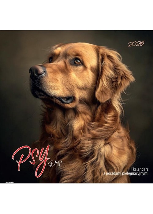 Kalendarz 2026 ścienny albumowy 30x30cm Psy