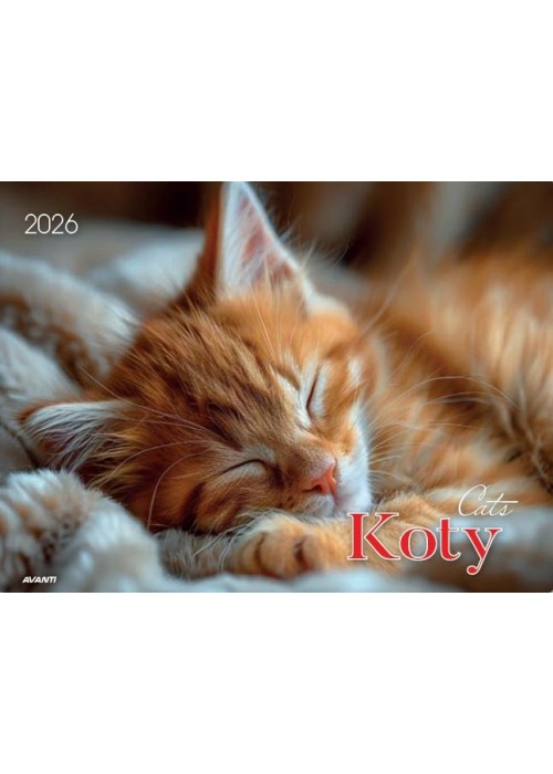 Kalendarz 2026 ścienny albumowy 28,5x20cm Koty Kalendarz 2026 ścienny albumowy 28,5x20cm Koty