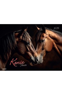 Kalendarz 2026 ścienny albumowy 28,5x20cm Konie