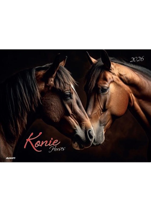 Kalendarz 2026 ścienny albumowy 28,5x20cm Konie Kalendarz 2026 ścienny albumowy 28,5x20cm Konie