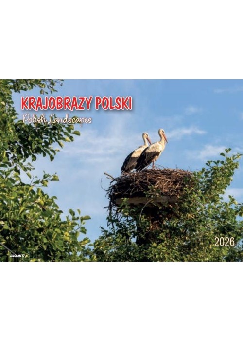 Kalendarz 2026 ścienny album. 28,5x20cm Krajobrazy