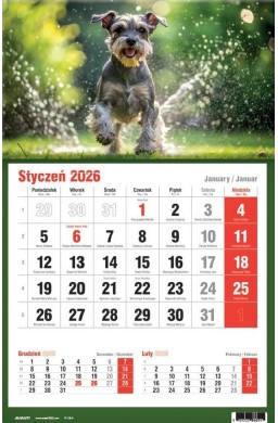 Kalendarz 2026 jednodzielny MIX