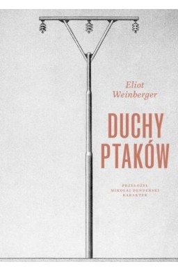 Duchy ptaków