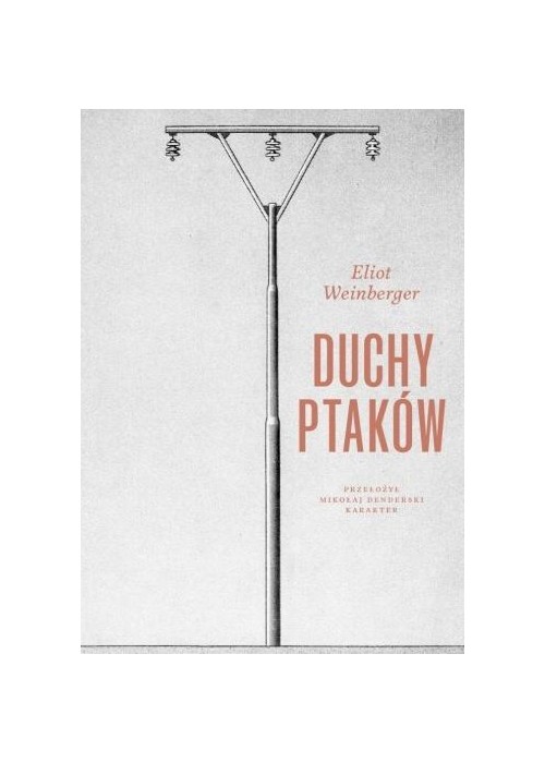 Duchy ptaków