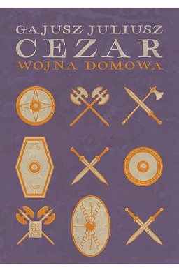 Wojna domowa