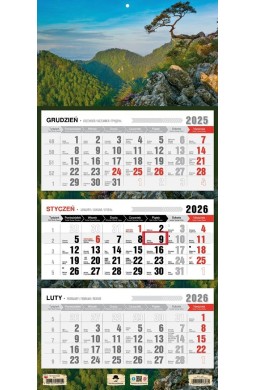 Kalendarz 2026 trójdzielny płaska główka Sokolnica