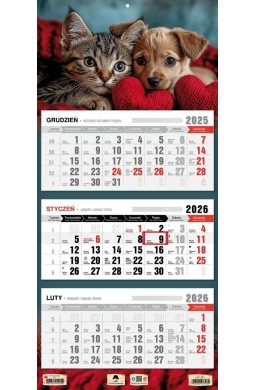 Kalendarz 2026 trójdzielny płaska główka przyjaźń