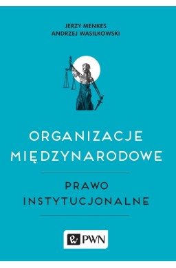 Organizacje międzynarodowe, Prawo instytucjonalne