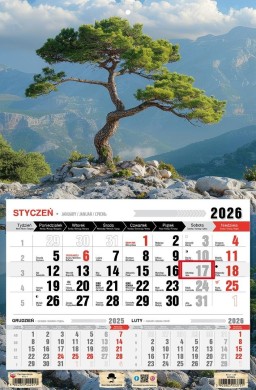 Kalendarz 2026 jednodzielny bonsai