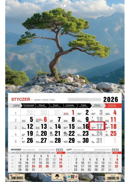 Kalendarz 2026 jednodzielny bonsai
