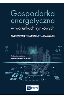Gospodarka energetyczna w warunkach rynkowych