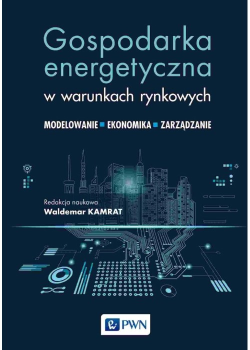 Gospodarka energetyczna w warunkach rynkowych
