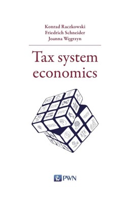 Tax system economics