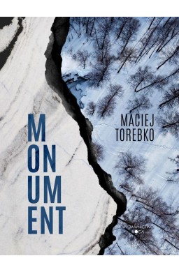 Momentum