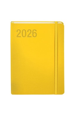 Kalendarz 2026 A5 Minimalizm złoty TNS