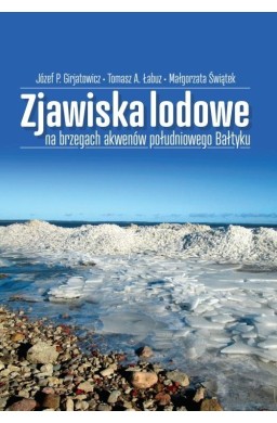 Zjawiska lodowe na brzegach akwenów południowego..