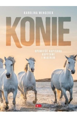 Konie