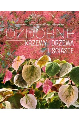 Ozdobne Krzewy i drzewa Liściaste