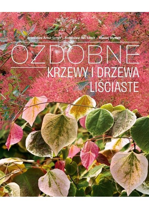Ozdobne Krzewy i drzewa Liściaste