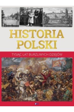 Historia polski. Tysiąc lat burzliwych dziejów