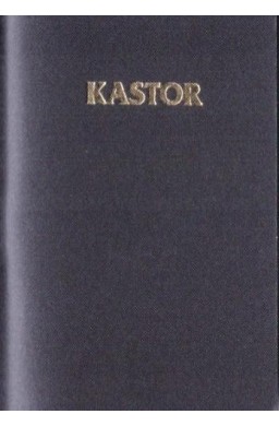 Kalendarz 2026 plastik MIX