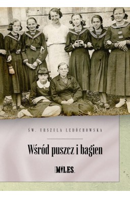 Wśród puszcz i bagien