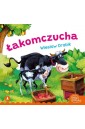 Łakomczucha