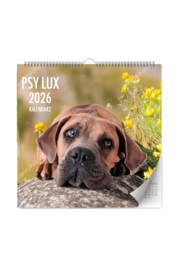 Kalendarz 2026 ścienny lux psy
