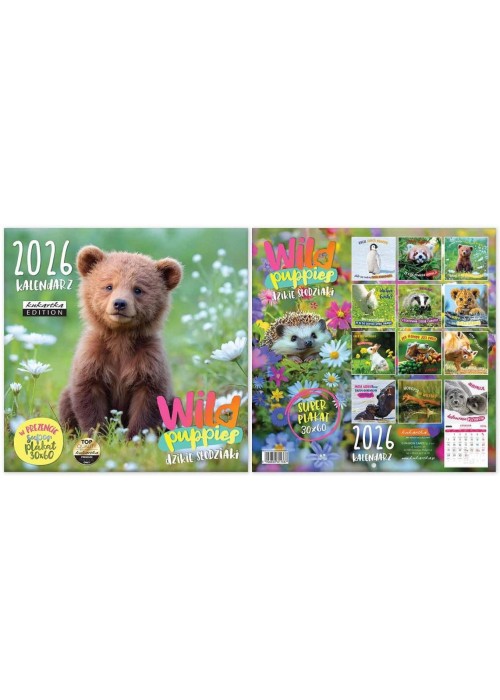 Kalendarz 2026 ścienny Classic Wild Puppies
