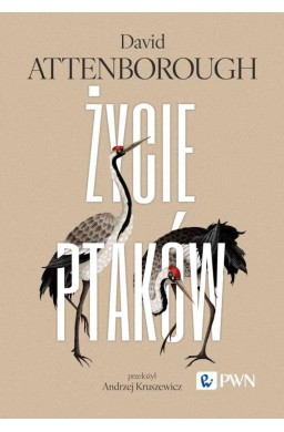 Życie ptaków