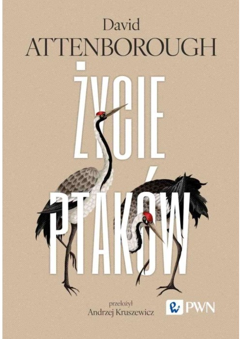 Życie ptaków