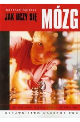 Jak uczy się mózg
