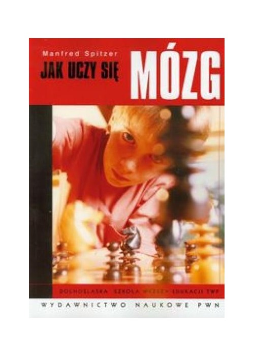Jak uczy się mózg