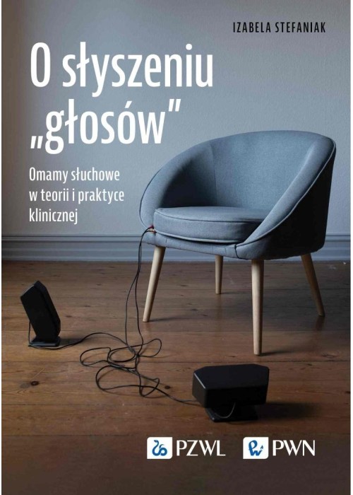 O słyszeniu głosów. Omamy słuchowe w teorii...